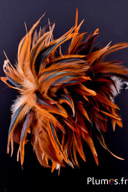 Federbusch Hahn mit Schlaufe - Höhe 20 cm - natur